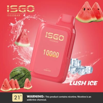 ISGO BAR 10,000 PUFFS DISPOSABLE VAPE