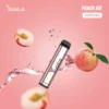 Yuoto XXL Peach Ice Disposable Vape (2500 Puffs)