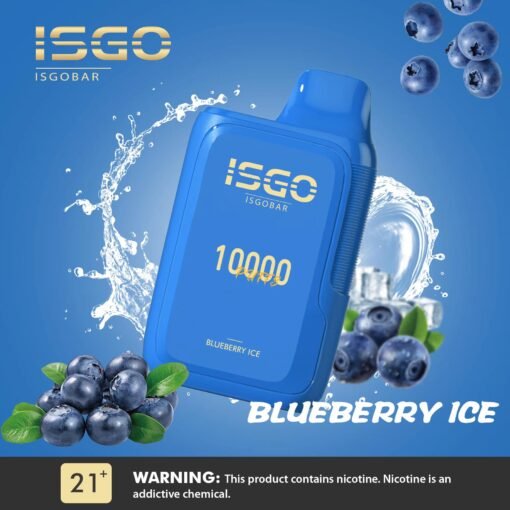 ISGO BAR 10,000 PUFFS DISPOSABLE VAPE