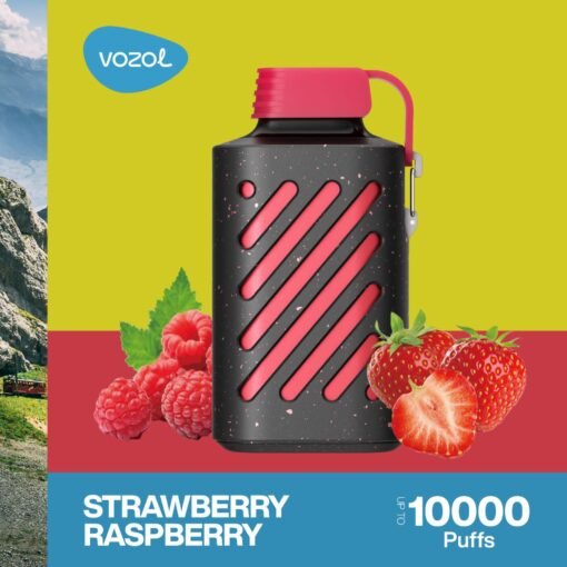 VOZOL GEAR 10000 DISPOSABLE Vape STRAWBERRY RASPBERRY