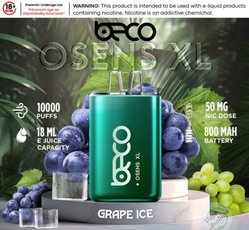 Beco-OSENS-XL-10000-Puffs-Grape-Ice-1.jpg