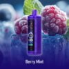 Voopoo Cloud X 20000 Puffs BERRY MINT